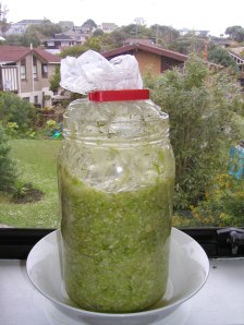 Sauerkraut covered with bag